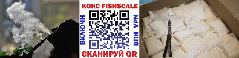 Cocaine Fish Scale  Купить где  Мезень 
